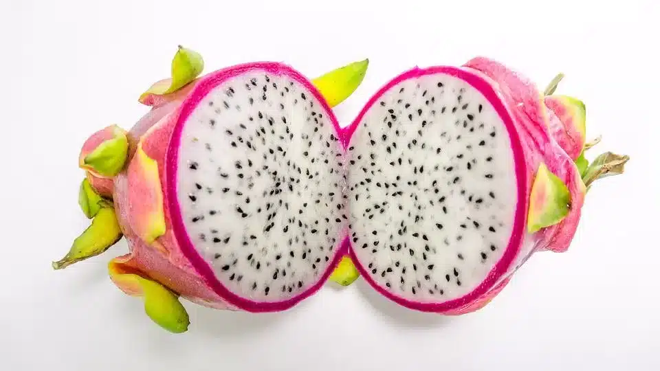 dragon fruit