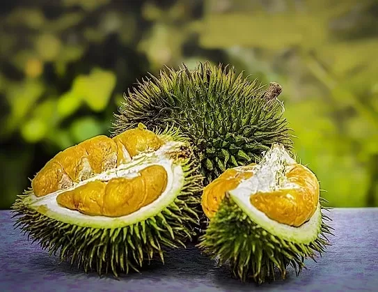 durian