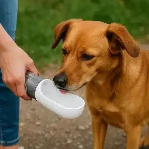Pet Hydration