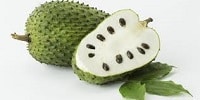 soursop